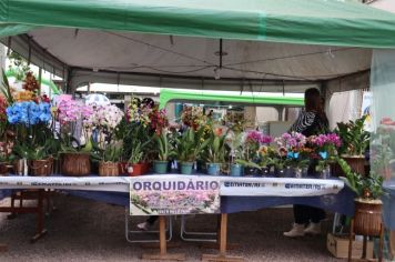 Foto - FEIRA NEGÓCIOS DAQUI - EDIÇÃO VAREJO (SEGUNDO DIA)