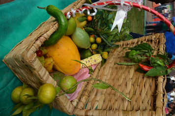 Foto - 3ª Mostra da Agrobiodiversidade