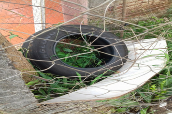 Foto - Ações de Combater ao Aedes eagypti - segunda etapa