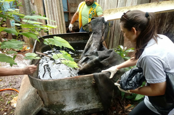 Foto - Ações de Combater ao Aedes eagypti - segunda etapa