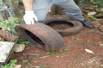 Foto - Ações de Combater ao Aedes eagypti - segunda etapa