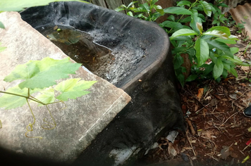 Foto - Ações de Combater ao Aedes eagypti - segunda etapa