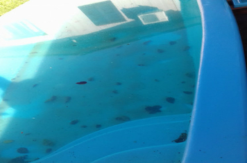 Foto - Ações de Combater ao Aedes eagypti - terceira etapa