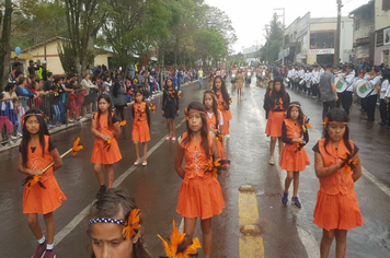 Foto - Desfile Cívico 7 de Setembro 2019