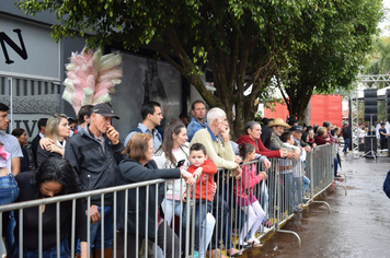 Foto - Desfile Cívico 7 de Setembro 2019