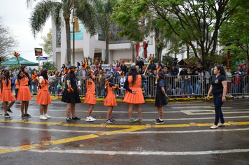 Foto - Desfile Cívico 7 de Setembro 2019