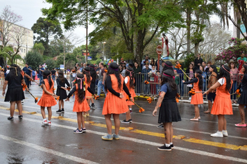 Foto - Desfile Cívico 7 de Setembro 2019