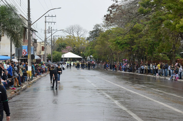 Foto - Desfile Cívico 7 de Setembro 2019