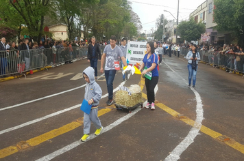 Foto - Desfile Cívico 7 de Setembro 2019