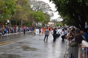 Foto - Desfile Cívico 7 de Setembro 2019