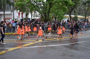 Foto - Desfile Cívico 7 de Setembro 2019