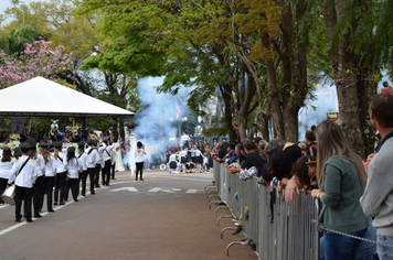 Foto - Desfile Cívico 7 de Setembro 2019