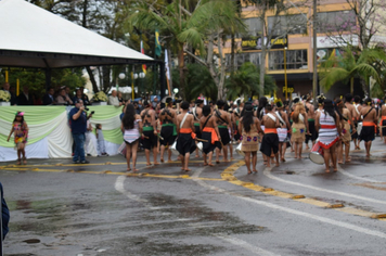 Foto - Desfile Cívico 7 de Setembro 2019