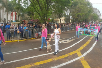 Foto - Desfile Cívico 7 de Setembro 2019