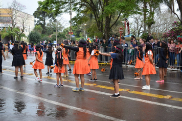 Foto - Desfile Cívico 7 de Setembro 2019