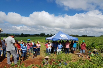 Foto - Dia de Campo - Localidade de Alto Gross