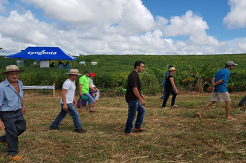 Foto - Dia de Campo - Localidade de Alto Gross