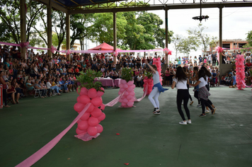 Foto - Encontro Municipal da Mulher Portelense 2019