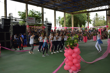 Foto - Encontro Municipal da Mulher Portelense 2019