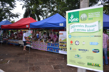 Foto - Feira da Agrobiodiversidade