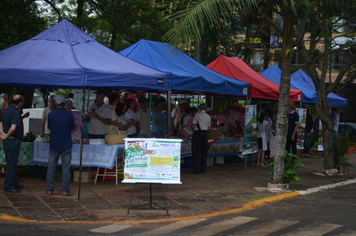 Foto - Feira da Agrobiodiversidade