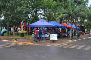 Foto - Feira da Agrobiodiversidade