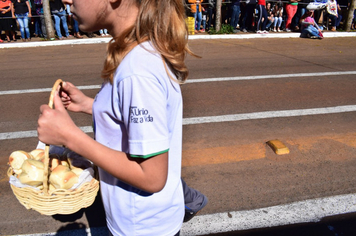 Foto - Fotos : Desfile Cívico 7 de Setembro 2018