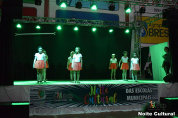 Foto - Noite Cultural