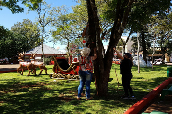 Foto - Praças e avenidas recebem enfeites de natal em  Tenente Portela