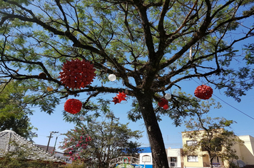 Foto - Praças e avenidas recebem enfeites de natal em  Tenente Portela