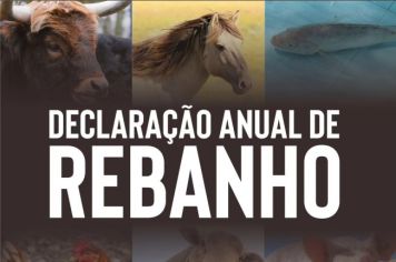 CADASTRO ANUAL DE REBANHO