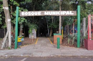 PREFEITO NA ESTRADA: VISITA MARCA CONCLUSÃO DO TRABALHO DE REVITALIZAÇÃO DO BOSQUE MUNICIPAL