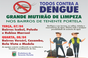 Grande mutirão de limpeza contra o Aedes aegypti