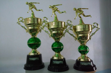 Sexta-feira tem a grande final do Campeonato Municipal de Bocha