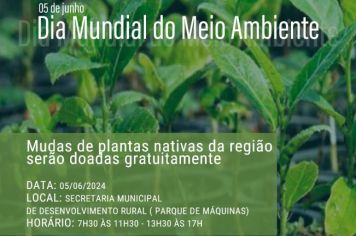 TENENTE PORTELA: DIA DO MEIO AMBIENTE TERÁ DOAÇÕES DE ÁRVORES NATIVAS 