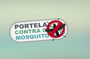 RISCO DE DENGUE: LEVANTAMENTO APONTA QUE LARVAS DO MOSQUITO TRANSMISSOR FORAM ENCONTRADAS EM 8,6% DAS RESIDÊNCIAS