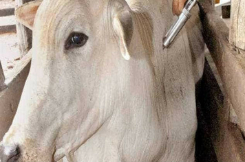 Aviso da Inspetoria de Defesa Agropecuária de Tenente Portela 