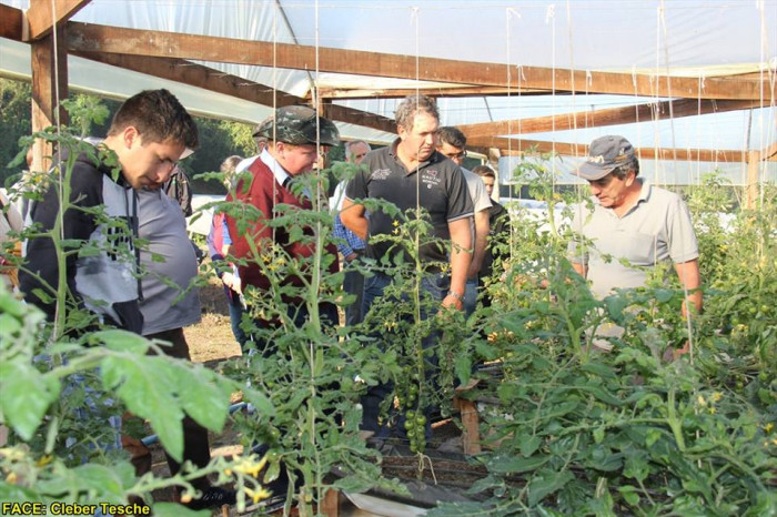 Agricultores conhecem novos métodos de produção em Dia de Campo