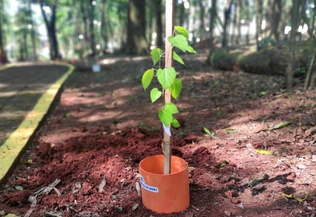 MEMORIAL CAMINHOS DA SAUDADE SERÁ INAUGURADO NESTA SEXTA