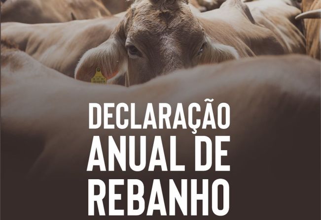 DECLARAÇÃO ANUAL DE REBANHO 