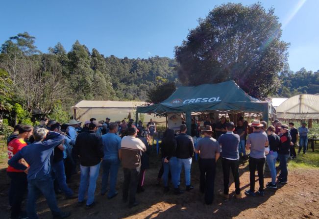 DIA DE CAMPO TRATA SOBRE A PRODUÇÃO DE MORANGOS NA AGROINDÚSTRIA FAMILIAR