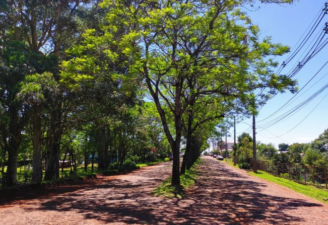 TENENTE PORTELA: EMENDAS DO DEPUTADO REDECKER GARANTEM R$ 1 MILHÃO PARA OBRAS DE PAVIMENTAÇÃO