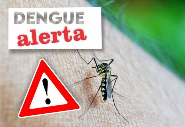 TENENTE PORTELA CONFIRMA DOIS CASOS DE DENGUE