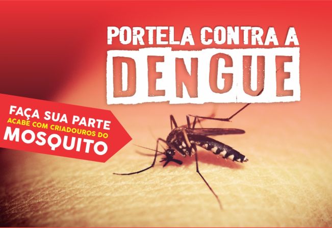 TENENTE PORTELA REGISTRA REDUÇÃO NA INCIDÊNCIA DE CASOS DE DENGUE