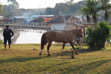 Foto - 72º Distribuição Chama Crioula 2019 - Parque Aguas do Moconá