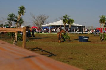 Foto - 72º Distribuição Chama Crioula 2019 - Parque Aguas do Moconá