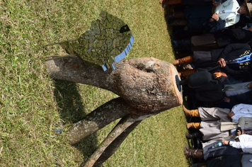 Foto - 72º Distribuição Chama Crioula 2019 - Parque Aguas do Moconá