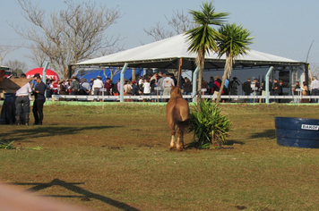 Foto - 72º Distribuição Chama Crioula 2019 - Parque Aguas do Moconá