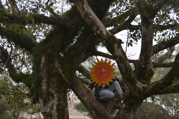 Foto - Abertura da Semana do Meio Ambiente com caminhada pelas ruas da cidade