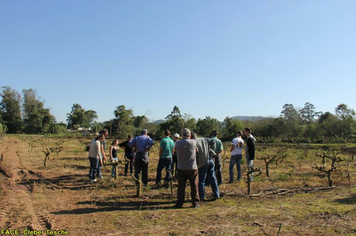 Foto - Dia de Campo sobre produção em ambiente protegido - Feliz/RS